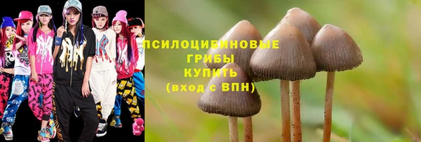 ALPHA-PVP Гусь-Хрустальный