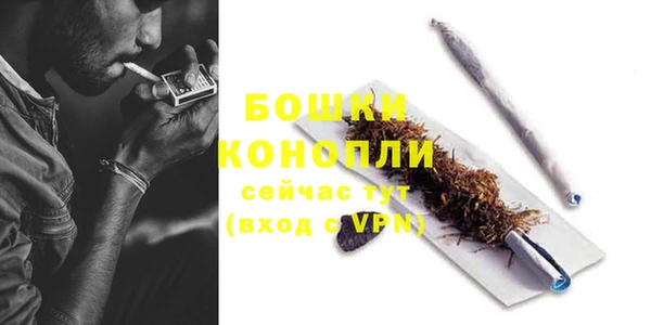 ПСИЛОЦИБИНОВЫЕ ГРИБЫ Горнозаводск