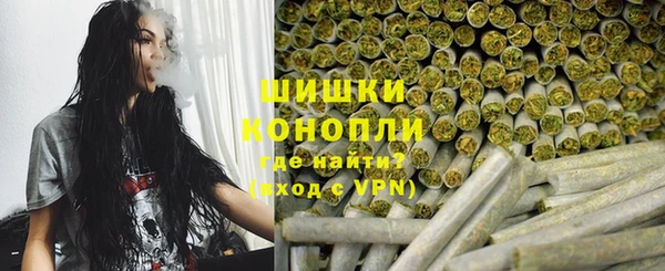 ПСИЛОЦИБИНОВЫЕ ГРИБЫ Горнозаводск