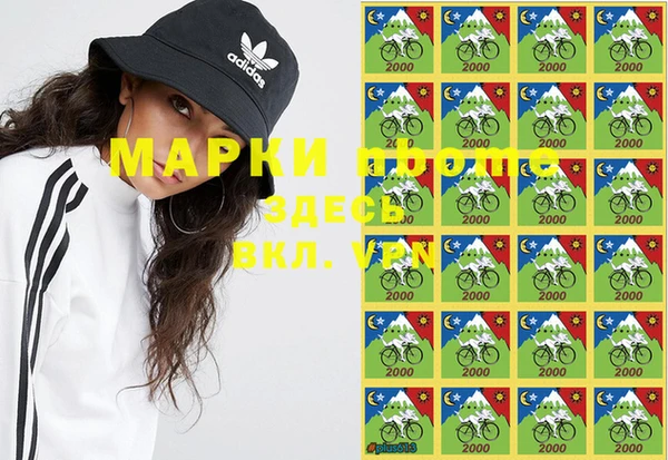 ПСИЛОЦИБИНОВЫЕ ГРИБЫ Горнозаводск