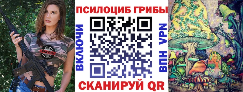 Купить где  Куровское  Псилоцибиновые грибы мухоморы 